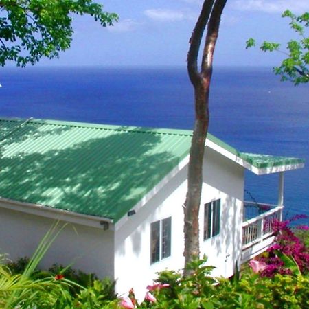 Bed and Breakfast Nature'S Paradise à Marigot Bay Extérieur photo