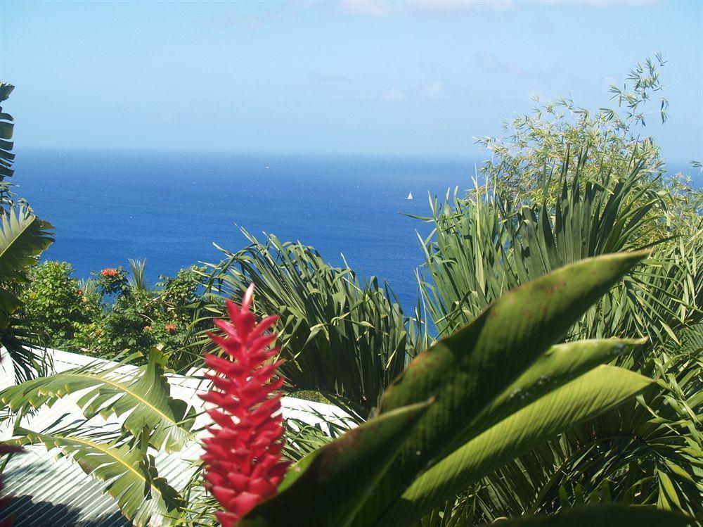 Bed and Breakfast Nature'S Paradise à Marigot Bay Extérieur photo