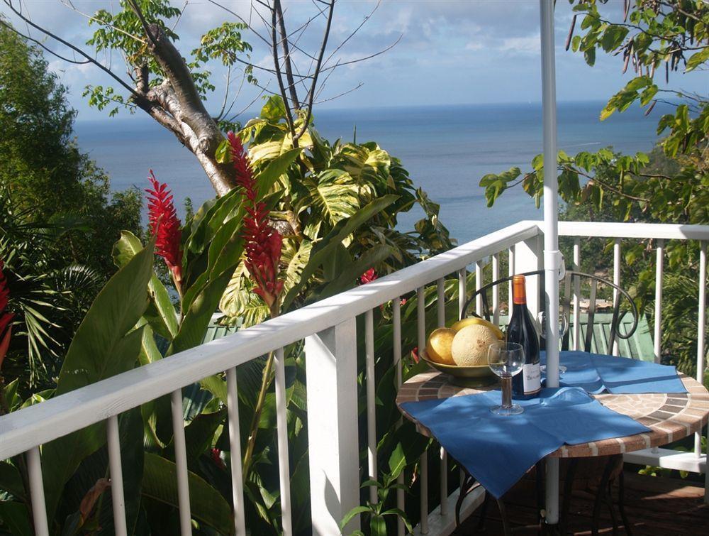 Bed and Breakfast Nature'S Paradise à Marigot Bay Extérieur photo