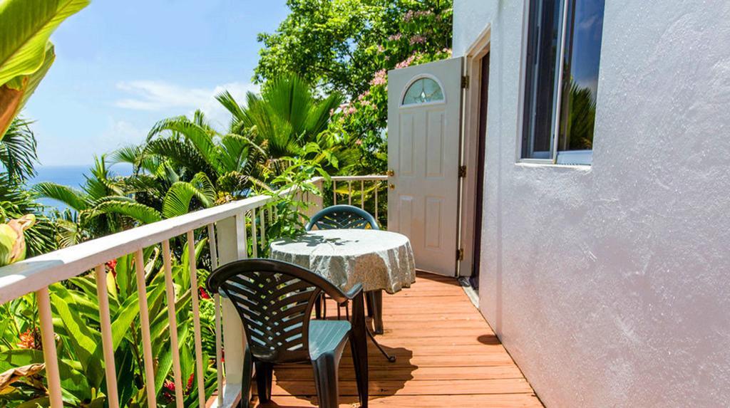 Bed and Breakfast Nature'S Paradise à Marigot Bay Extérieur photo