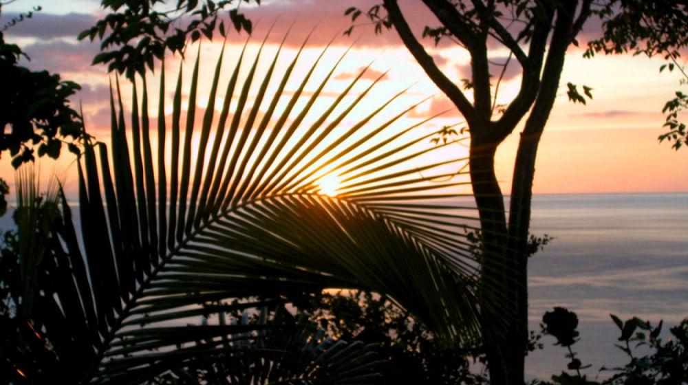 Bed and Breakfast Nature'S Paradise à Marigot Bay Extérieur photo