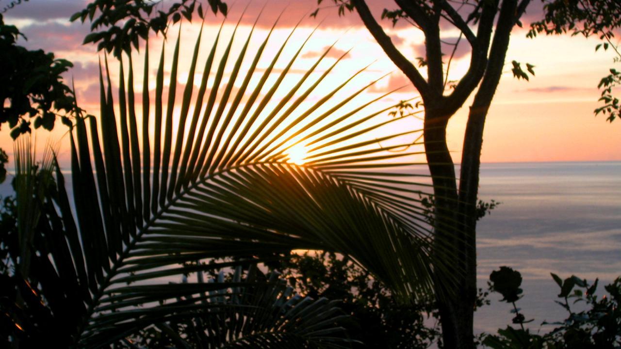 Bed and Breakfast Nature'S Paradise à Marigot Bay Extérieur photo