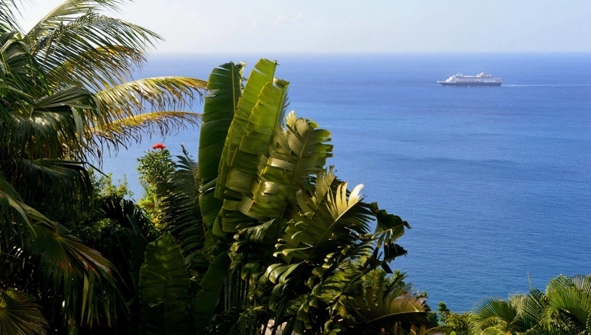 Bed and Breakfast Nature'S Paradise à Marigot Bay Extérieur photo