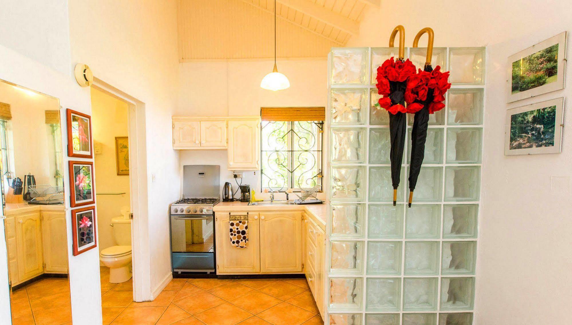 Bed and Breakfast Nature'S Paradise à Marigot Bay Extérieur photo