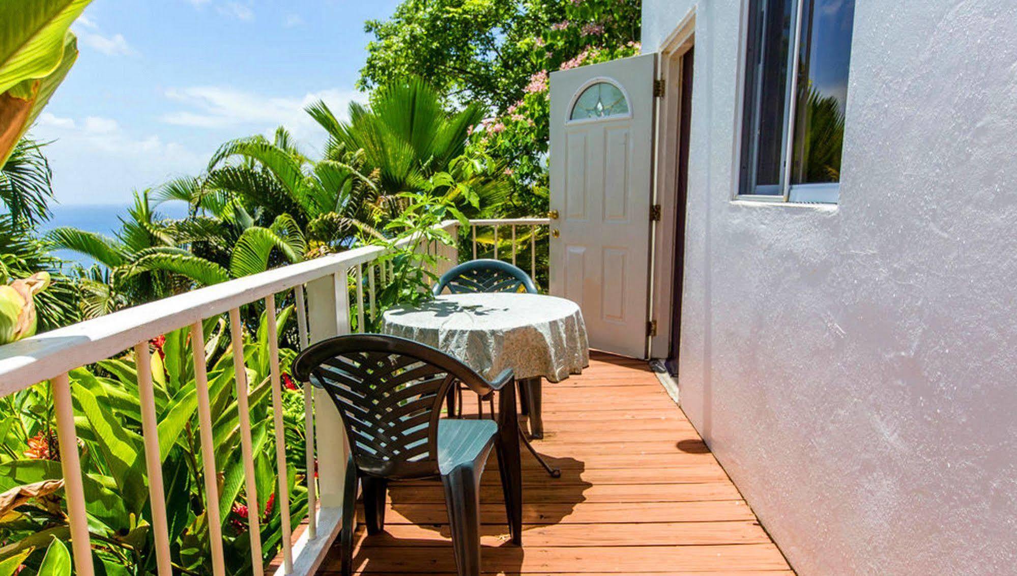 Bed and Breakfast Nature'S Paradise à Marigot Bay Extérieur photo