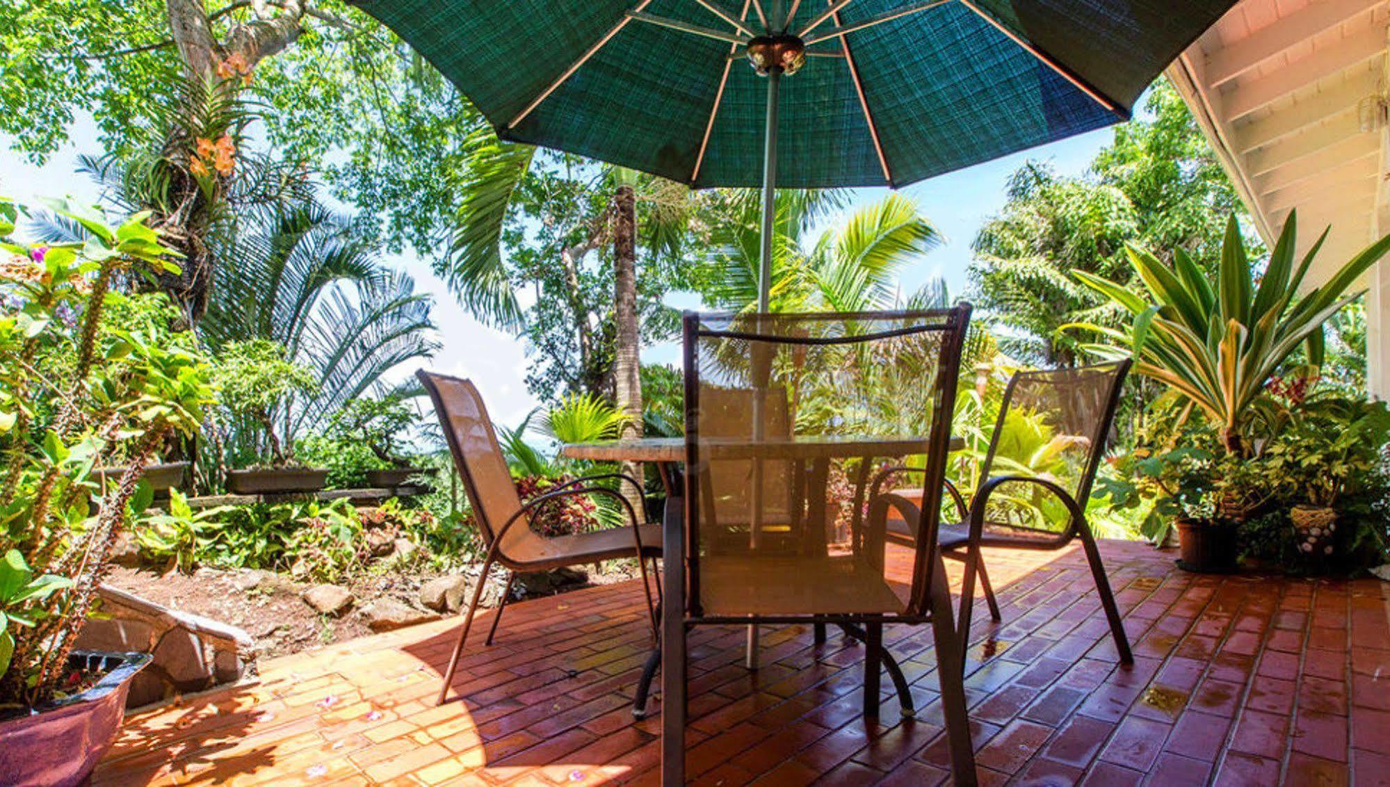 Bed and Breakfast Nature'S Paradise à Marigot Bay Extérieur photo