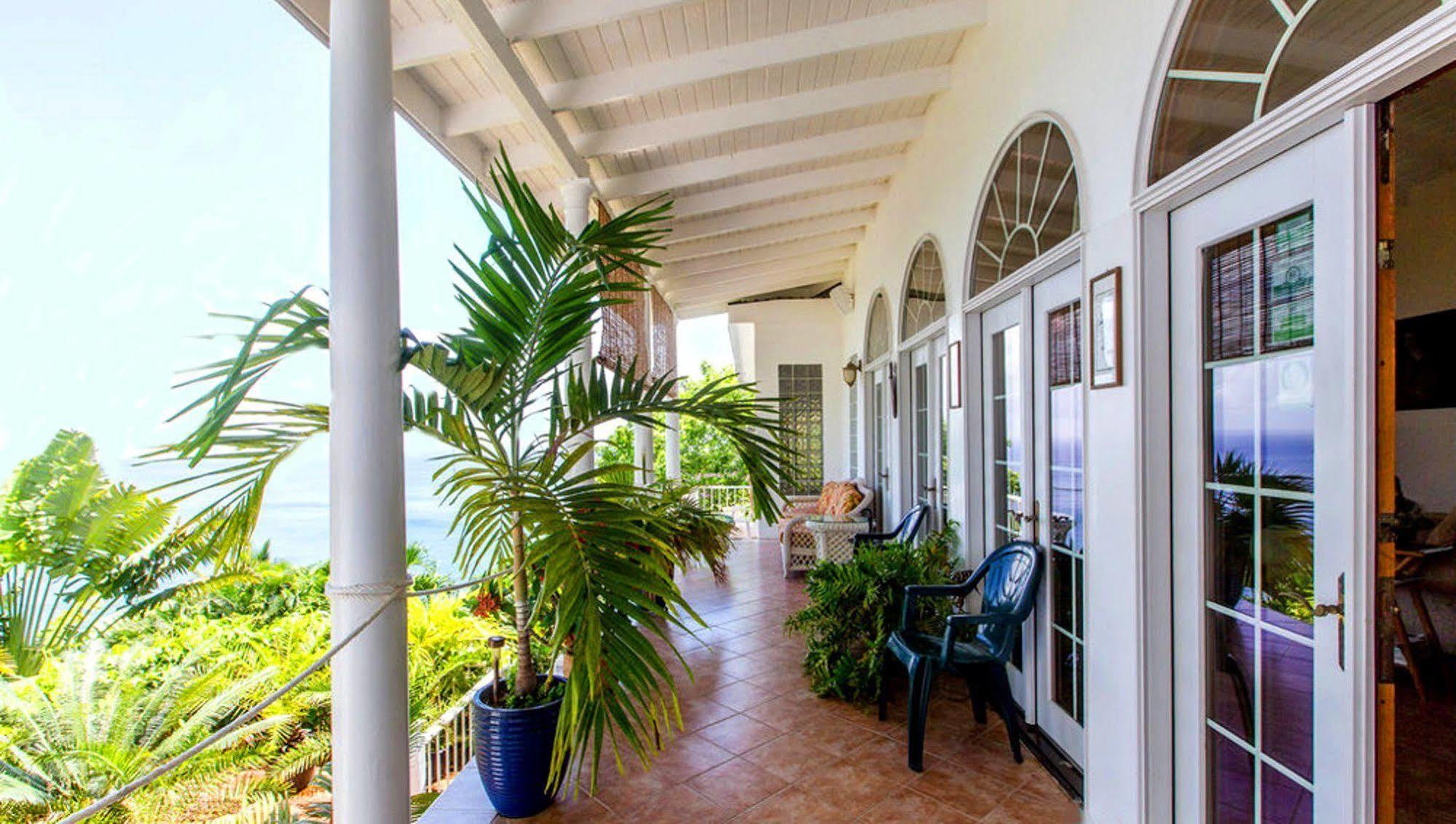 Bed and Breakfast Nature'S Paradise à Marigot Bay Extérieur photo